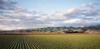 Las operaciones de compra-venta de fincas rústicas descienden en España por la incertidumbre en los mercados financieros FINCA