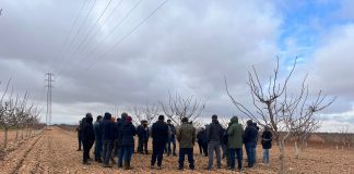 Vídeo. Curso de poda de almendro y pistacho organizado por Prunotec en Tomelloso (Ciudad Real) Curso poda PRUNOTEC