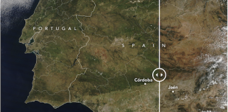 La NASA, preocupada por la bajada de producción de aceite de oliva en Andalucía NASA