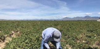 Pide que la futura Ley de Agricultura Familiar favorezca a los agricultores y ganaderos profesionales españoles agricultura familiar