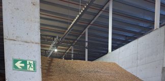 Comienzan las exportaciones de almendra española a China almendra española a China