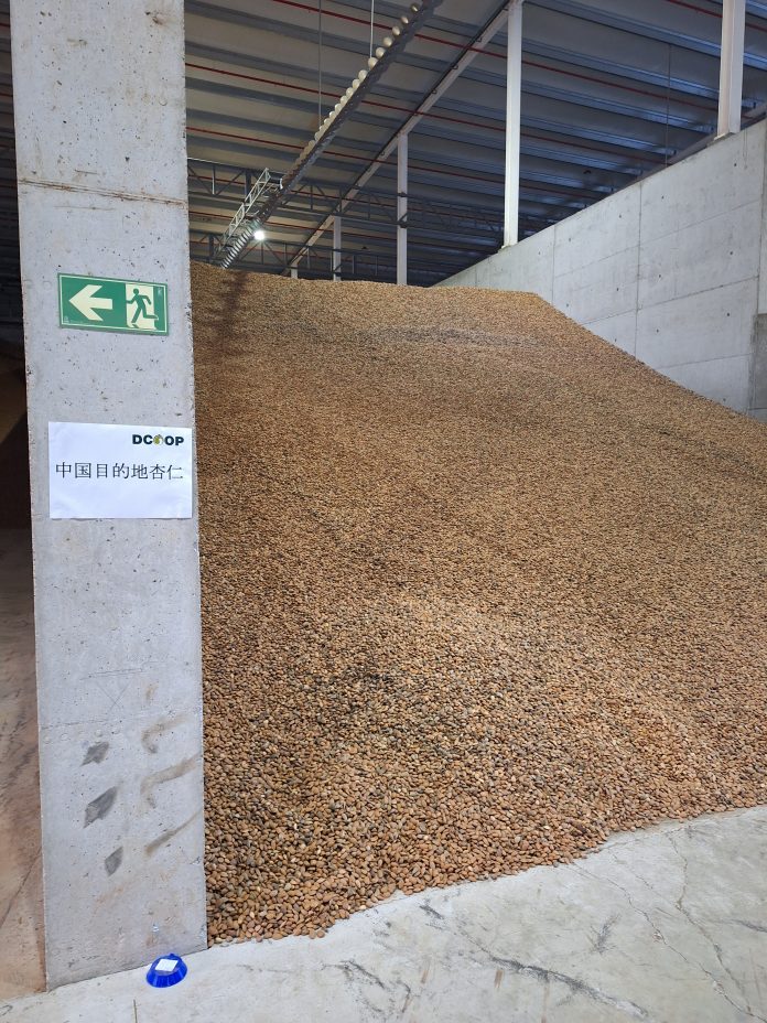 almendra española a China