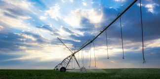 El Gobierno concede exenciones sobre el canon al regadío en 2024 para afrontar la sequía pivot