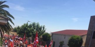 Cierra una histórica planta avícola de la provincia de Toledo CCOO-Industria de Toledo
