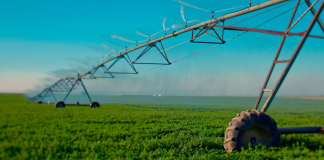 A la venta en Castilla-La Mancha varias fincas agrícolas por encima de los 10 millones de euros Regadío