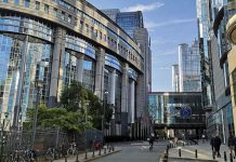 El campo europeo se movilizará en Bruselas contra el enfoque de la UE hacia la agricultura Bruselas