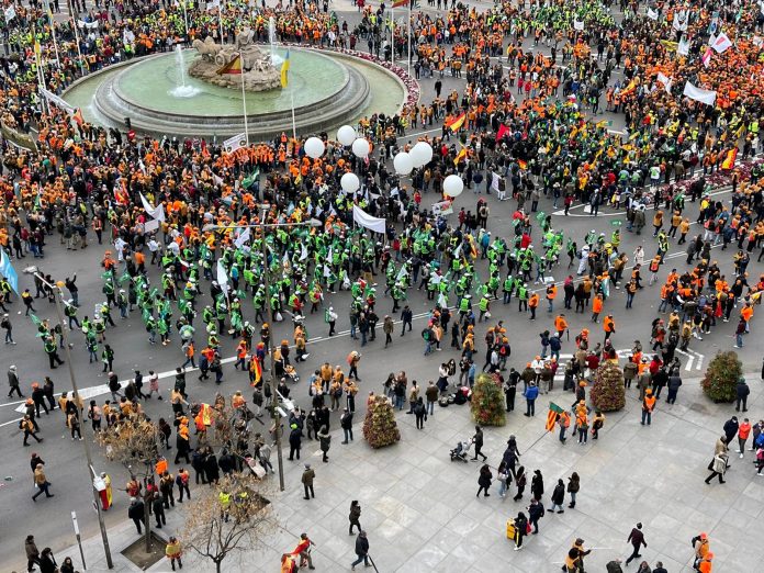 MANIFA Manifestación