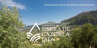 Mes de enero. La poda del olivar, determinante para una buena cosecha en el futuro. DOP Aceite Sierra de Cazorla DOP Aceite Sierra de Cazorla