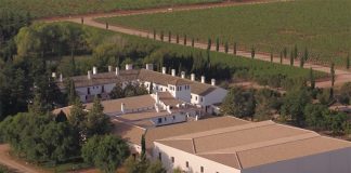 Nace la Asociación que aúna a la élite de los vinos españoles