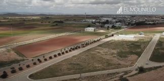 Salen a concurso nuevas parcelas en el polígono agrícola de Campo de Criptana (Ciudad Real) polígono “El Molinillo”
