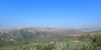 Inician un proyecto de cooperación en Líbano para mejorar la eficiencia y sostenibilidad del olivar Líbano