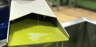 Las existencias actuales de aceite de oliva se sitúan por debajo del millón de toneladas aceite