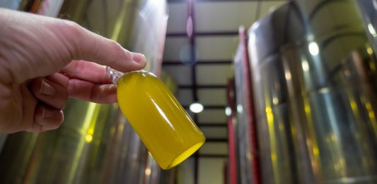 aceite de oliva