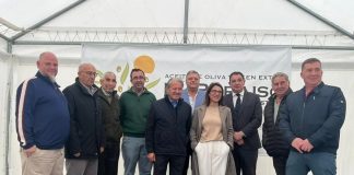 Un ayuntamiento toledano apuesta por ayudas directas a agricultores y ganaderos Ayuntamiento de Gálvez