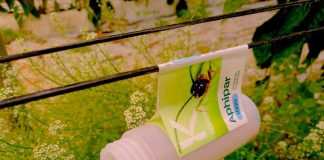 Koppert muestra cómo vencer a las resistencias de las plagas koppert