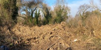 Insta a la Confederación Hidrográfica del Tajo a limpiar arroyos y ríos de la comarca de Talavera para prevenir inundaciones cauces ríos