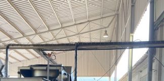 El cultivo del pistacho sigue creciendo en una provincia muy olivarera Apistaco Jaén