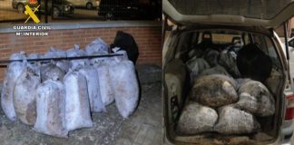 La Guardia Civil detiene a diez personas y recupera 10.000 kilos de aceituna aceituna robada
