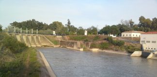 Indignación en el Bajo Guadalquivir, denuncian que la Confederación está tirando al mar agua con la que se podría regar Canal del Bajo Guadalquivir