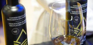 La producción de aceituna de una importante Denominación de Origen se hunde Aceite Sierra de Cazorla