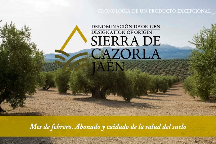 Aceite Sierra de Cazorla
