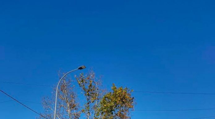 Unión de Uniones de Agricultores y Ganaderos insta a la movilización del campo tractorada de Unión de Uniones