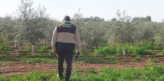 Un alcalde de Ciudad Real destaca los buenos resultados de la seguridad para evitar robos de aceituna robos de aceituna