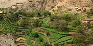 VOX Castilla-La Mancha pide la suspensión del acuerdo agrícola entre Marruecos y la Unión Europea Marruecos