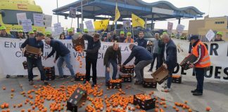 Denuncian en el puerto de Castellón la competencia desleal y la entrada de plagas en cítricos cítricos
