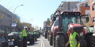 Considera que ni Bruselas ni España dan respuesta a lo que necesitan los agricultores y ganaderos tractoradas