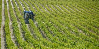 ¿Qué región ha perdido 120 millones de euros en 2023 tras la aplicación de la reforma de la PAC? cultivo