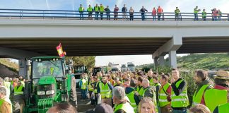 ASAJA, COAG y UPA convocarán actos de protesta en Madrid el próximo 26 de febrero concentración