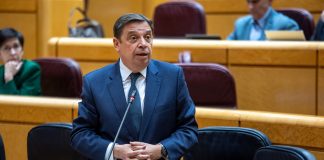El ministro de Agricultura pide a las comunidades autónomas que asuman sus responsabilidades en temas como la simplificación de la PAC Luis Planas Senado