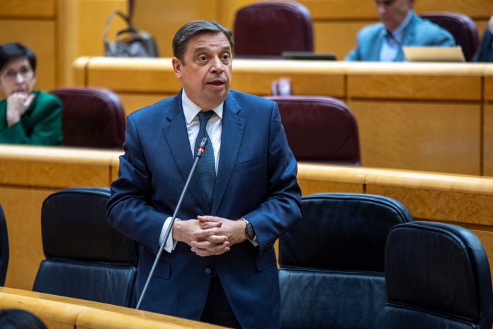 05032024ministrosenado_tcm30-676877 Luis Planas Senado