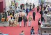 Agrovid y SIEB reunirán en enero en Feria de Valladolid a los profesionales de la vitivinicultura Agrovid