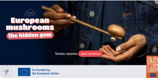 El proyecto ‘Champiñones y setas europeos: un tesoro por descubrir’ busca poner en valor su consumo y propiedades CHAMPIÑON EUROPEO