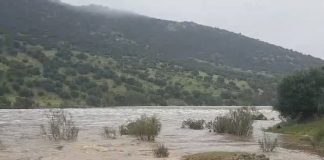 Galería de vídeos e imágenes: La ‘borrasca Nelson’ hace correr numerosos arroyos y afluentes del río Guadiana Guadiana