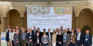 Llama a la unidad de los productores europeos de ajo Grupo de Contacto del Ajo Europeo