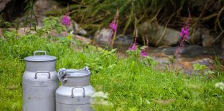 Insta a los ganaderos a que pidan su indemnización por “los abusos” de la industria láctea ratificados por la Audiencia Nacional leche