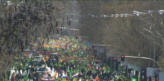 El campo europeo se moviliza esta semana en Bruselas contra el enfoque de la UE hacia la agricultura MANIFA 2024