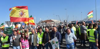 Agricultores de Castilla y León respaldan la protesta en el puerto de Santander para denunciar “la ruina del cereal” Agricultores de Castilla y León respaldan la protesta en el puerto de Santander