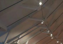 Aceite de Oliva Virgen Extra (AOVE) ecológico ‘Sentir’, una joya elaborada por la cooperativa Virgen de las Viñas Aceite de Oliva Virgen Extra (AOVE) ecológico ‘Sentir’