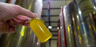 Pide a Competencia que investigue la drástica bajada del precio en origen del aceite de oliva aceite de oliva