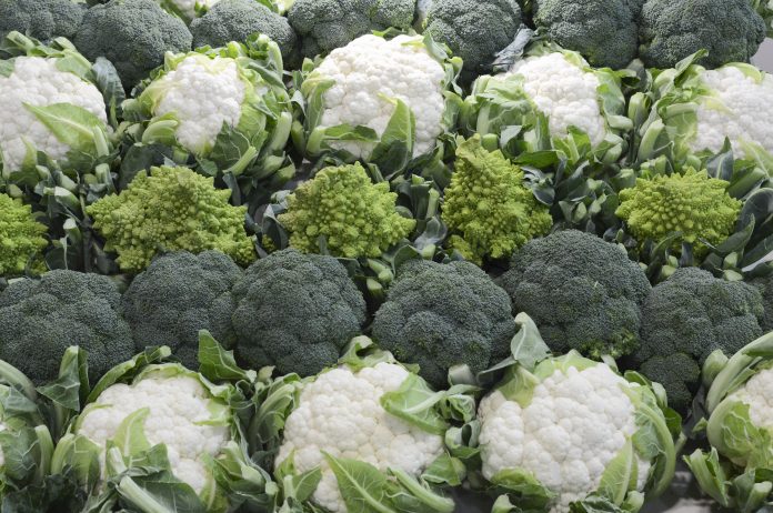 brocoli