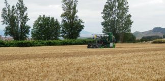 Probablemente, los cambios en barbecho y rotación de cultivos se apliquen en la presente campaña de la PAC cosecha