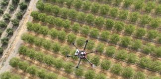 Drones en agricultura, la herramienta para controlar áreas extensas dron agrícola