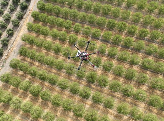 dron dron agrícola
