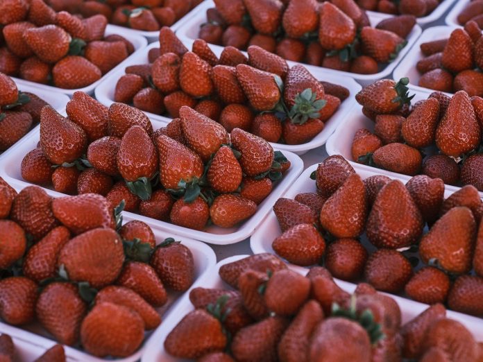 fresas