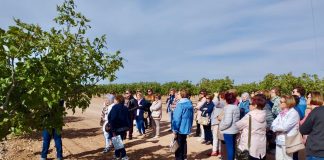 Las mujeres conocen con AMFAR la producción del pistacho AMFAR