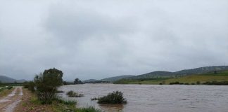 Las lluvias de marzo “salvan” la campaña de riego y usos del agua en el Alto Guadiana. José Antonio Moreno. Abogado Guadiana